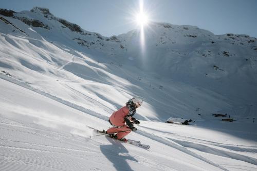 阿德尔博登Berg- & Naturhotel Engstligenalp的一个人在雪覆盖的山里滑雪