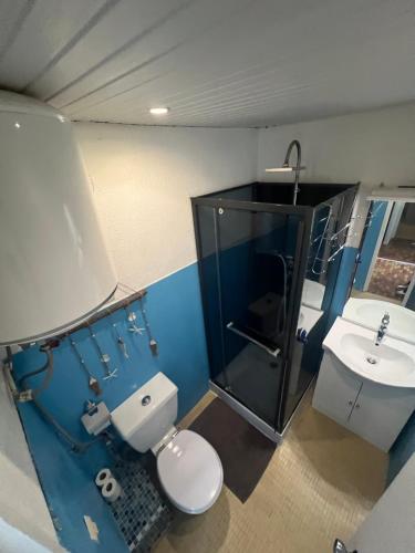 莱特鲁瓦西莱Les dessus de la Marina的一间带卫生间和水槽的浴室