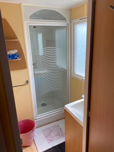 拉波勒Mobil Home 5 personnes - Camping *** Les Ollivaud-的带淋浴和盥洗盆的浴室