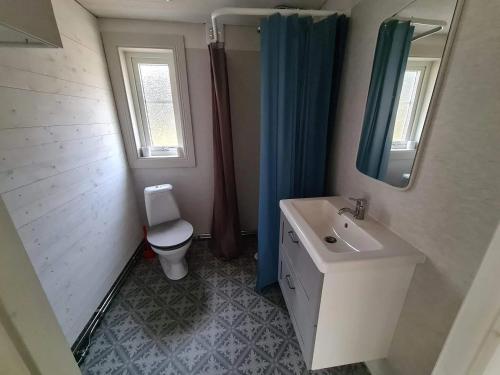 胡迪克斯瓦尔Charmigt hus och mysigt boende!的一间带水槽、卫生间和镜子的浴室