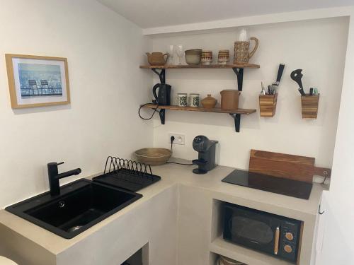 圣拉斐尔Cabanon d’Amata的厨房配有水槽和微波炉