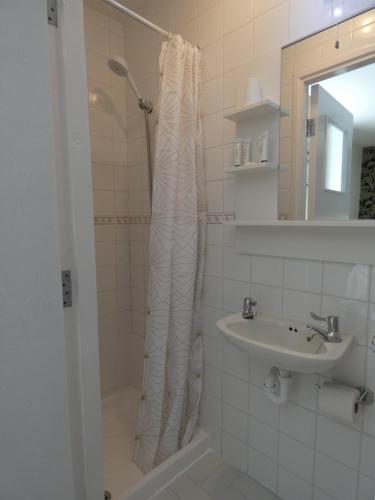卡斯尔敦贝尔Rodeen Country House的浴室配有淋浴帘和盥洗盆。