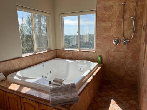 普莱瑟维尔Stunning Mountaintop Resort的带窗户的浴室设有大浴缸