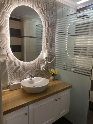 蒂加基苏格拉底公寓的一间带水槽和镜子的浴室