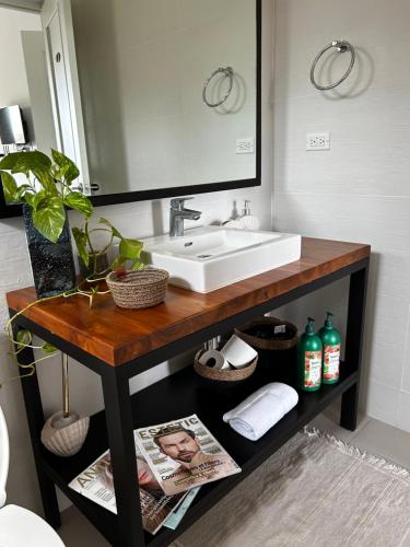 圣卡洛斯Charming Zen-style Beach apartment at Punta Caelo的浴室的柜台设有水槽和镜子