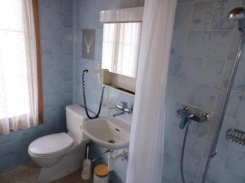塞利斯贝格Hotel Tell的浴室配有卫生间、盥洗盆和淋浴。