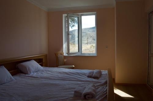 Nak'alak'eviGuest House Tirebi的一间卧室设有一张床和一个窗口