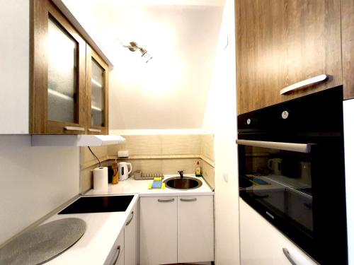 兹拉蒂博尔Zlatibor Hills Apartments Wellness & Spa的一间带水槽和微波炉的小厨房