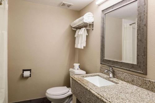 特拉华峡谷Pocono Inn & Banquet - Stroudsburg的一间带水槽、卫生间和镜子的浴室