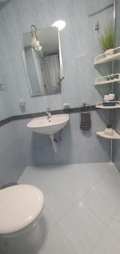 索非亚Апартамент Синчец的一间带水槽、卫生间和镜子的浴室