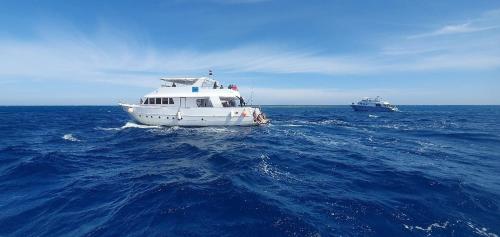 赫尔格达Hurghada Tours的一条在海洋中游的白色小船