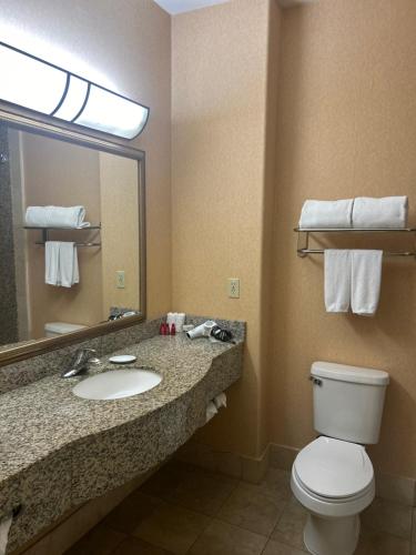 拉斯维加斯拉斯维加斯内利斯智选假日酒店的一间带卫生间、水槽和镜子的浴室