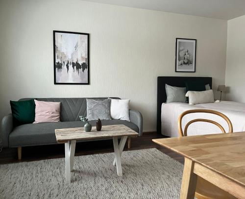 黑诺拉Viihtyisä ja valoisa yksiö keskustan läheisyydessä的客厅配有沙发和1张床