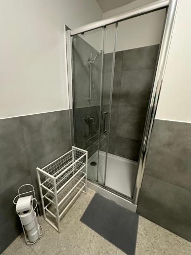 科莫尔尼基Apartamenty Komorniki的浴室里设有玻璃门淋浴