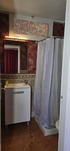 波多·纳奥斯Apartamento Sol y Playa Puerto Naos的一间带水槽和淋浴帘的浴室