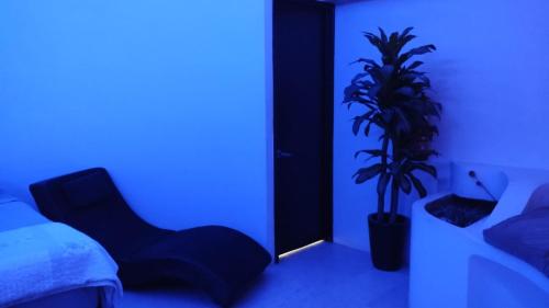 巴亚尔塔港Spa Chaac的蓝色的房间,有床和盆栽植物