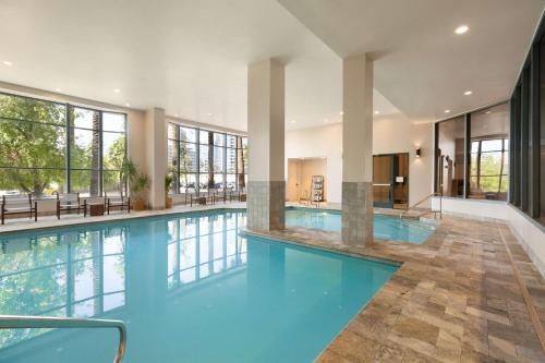 凤凰城Embassy Suites by Hilton Phoenix Downtown North的一座带窗户的建筑里,有一个蓝色的游泳池