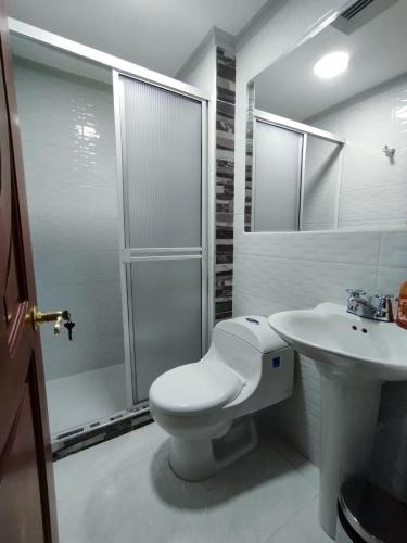 佩雷拉Hotel Miluansa的浴室配有卫生间、盥洗盆和淋浴。