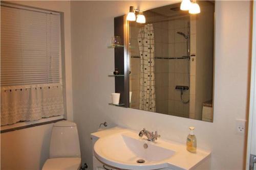 RoslevHoliday Home Kirkeby Feriehus的一间带水槽、卫生间和镜子的浴室