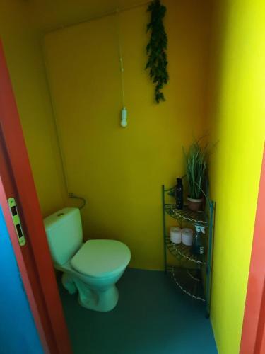 NéretNotrevillage La salamandre的浴室设有绿色卫生间和黄色墙壁