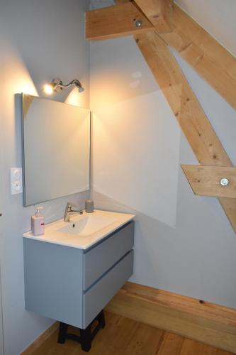 SailhanGîte de montagne Le Batoua的一间带水槽和镜子的浴室