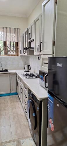阿克拉Cozy Luxury Hideouts in North Ridge, Accra, 1BDRM - 2BDRM, 15 mins from Airport的带洗碗机和洗衣机的厨房