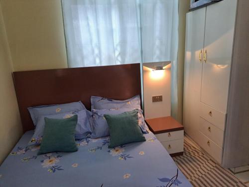 姆贝亚Swahili home-Mbeya CBD的一间卧室配有一张带蓝色床单和绿色枕头的床。