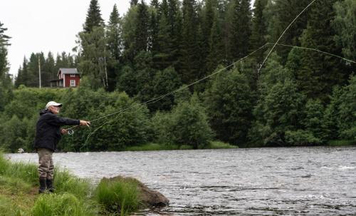 Cabin by Byske river surrounded by the forest平面图