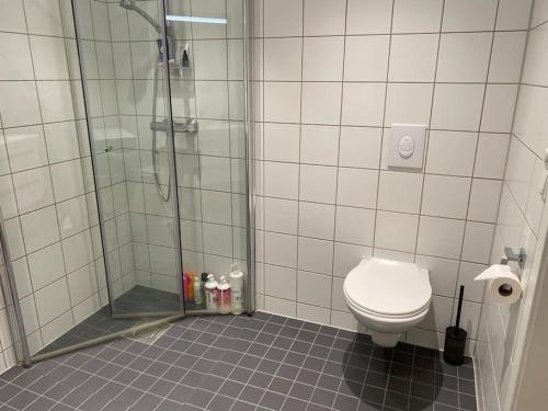 特隆赫姆Strøken leilighet inkl parkeringskjeller.的带淋浴和卫生间的浴室