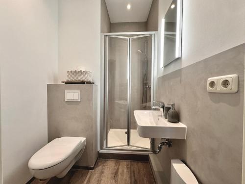 什未林沙尔夫科奇公寓的带淋浴、卫生间和盥洗盆的浴室