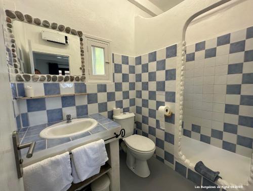 Tarcu费加简易别墅酒店的蓝色和白色的浴室设有水槽和卫生间