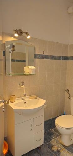 帕拉利昂阿斯特罗Argiropouloi的浴室配有白色水槽和卫生间。