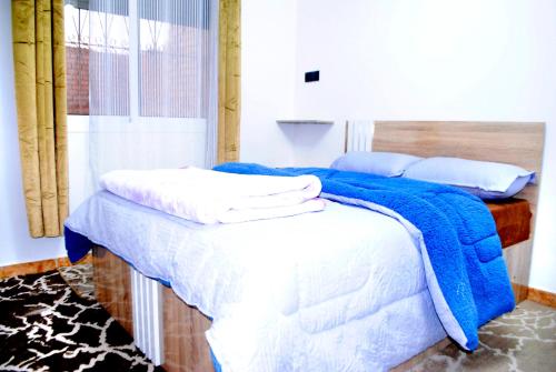 Airport apartment 2的一间卧室配有两张带蓝白色床单的床