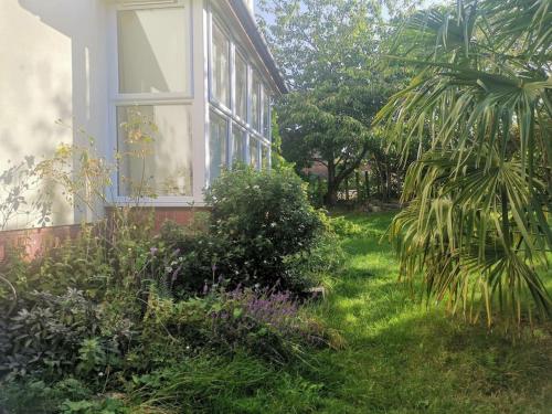 Shenley Church EndBeautiful Airbnb with Ensuite Rooms的一座带窗户房子前面的花园