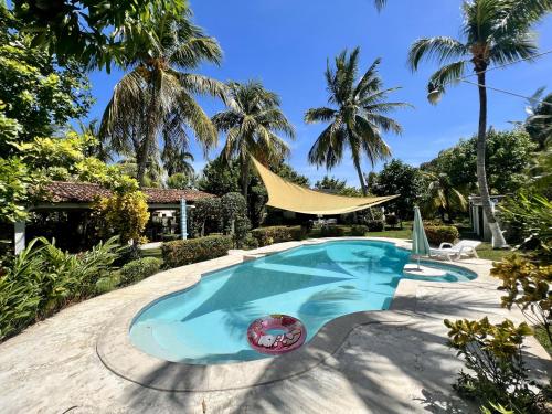 洛斯科巴诺斯Beautiful beach house in Los Cobanos El Salvador的棕榈树庭院内的游泳池