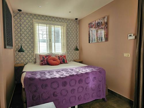 赞德沃特Zandvoort at Home I Free parking & Airco的带窗户的客房内的紫色床