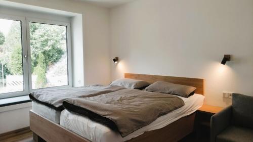 上施陶芬FeWo Hochsiedelblick, Oberstaufen/Wiedemannsdorf的一间卧室设有一张大床和窗户