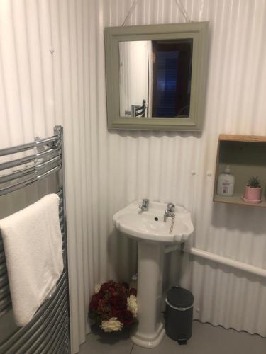 戈尔韦Bob’s Cabin的一间带水槽和镜子的浴室