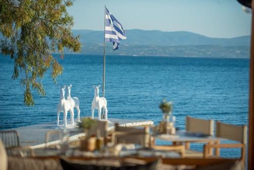 埃雷特里亚Amaronda Resort & Spa Eretria的海边桌子上三匹白马