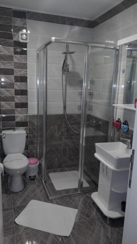 大格拉迪什泰Spa Koncept-Apartmani的带淋浴、卫生间和盥洗盆的浴室