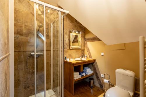布尔日L'Hotel de Panette, chambres indépendantes - entrée sainte Chapelle的带淋浴和卫生间的浴室