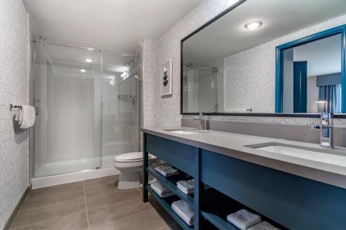 阿伯茨福德Clarion Hotel & Conference Centre的一间带水槽、卫生间和镜子的浴室