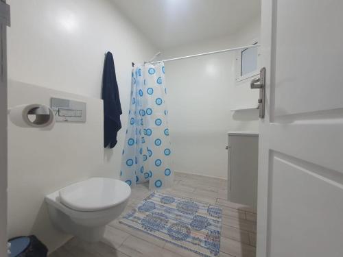 苏塞Stunning Penthouse with Sea and Castle View (2BDR)的浴室设有卫生间和蓝色的浴帘。