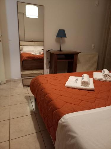雅典A V G E R I N O S Athens的酒店客房,设有两张床和镜子