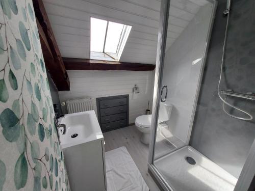 Le PinGites de la Janais的带淋浴、盥洗盆和卫生间的浴室
