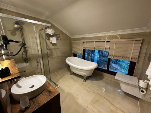 乌鲁达Karinna Orman Koskleri的浴室配有卫生间、盥洗盆和淋浴。