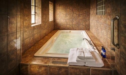 Sierra Grande Lodge & Spa的一间浴室