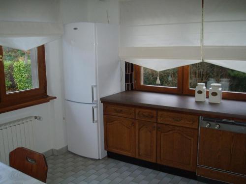 拉佩蒂特皮耶尔Villa Du Lion D'or的厨房配有白色冰箱和木制橱柜。