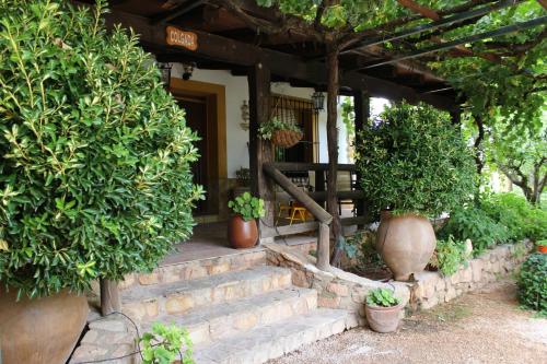 奥萨德蒙铁尔马德拉洛斯诺斯度假村的房屋楼梯上种有盆栽植物的门廊
