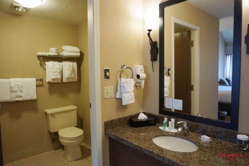 基洛纳基洛纳华美达会议中心酒店的一间带水槽、卫生间和镜子的浴室